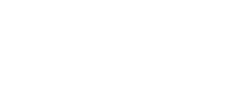 The Puma Group